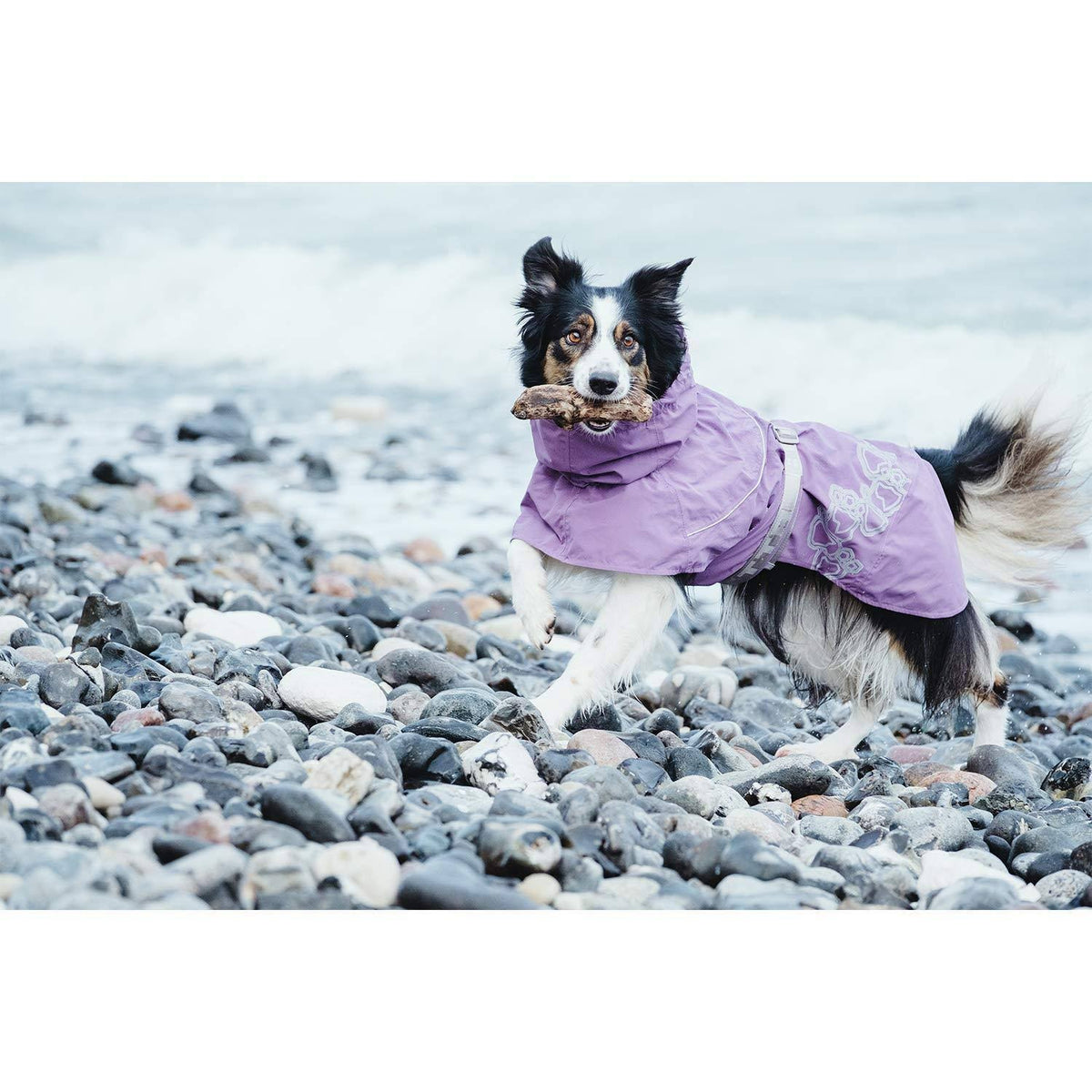 Raven Drizzle Coat 22 in C605287