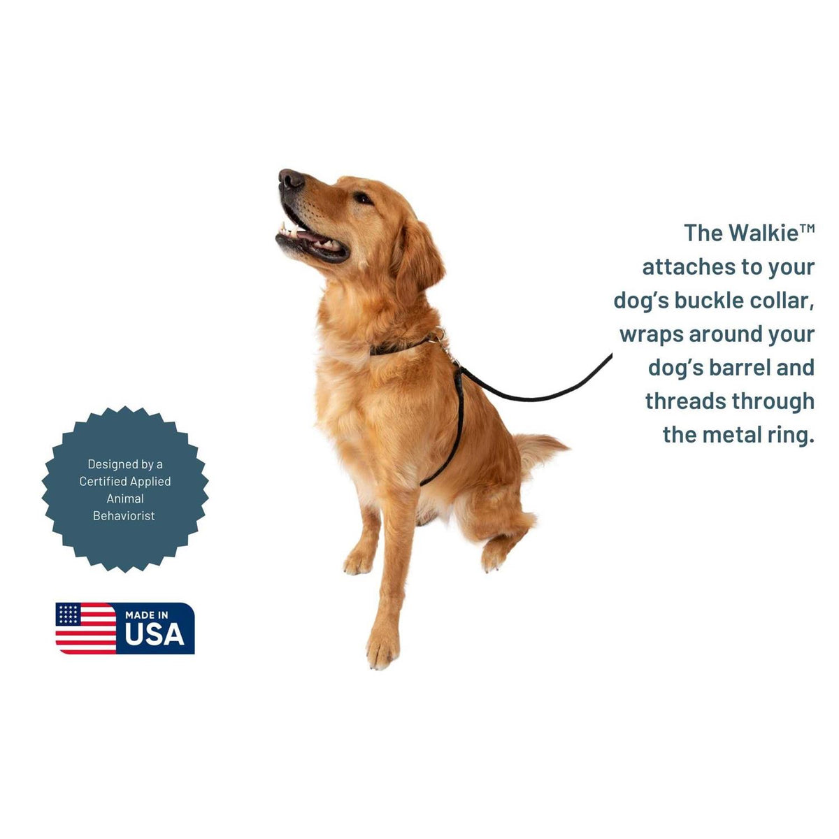 No Pull Dog Leash F944518
