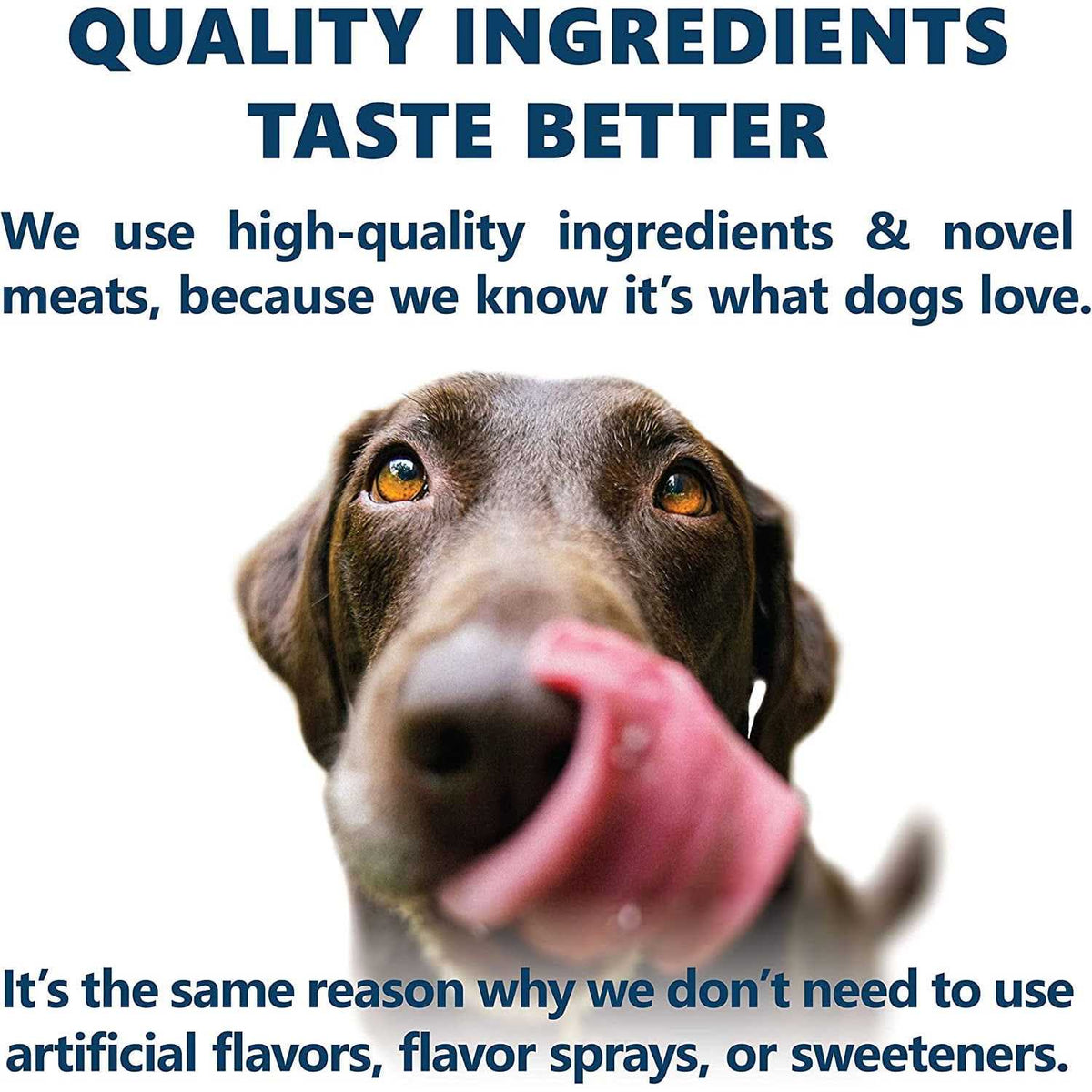 Holistic Dry Dog Food O87320