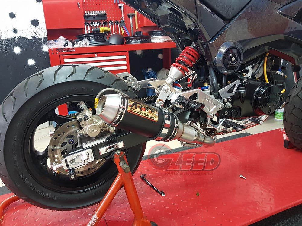 Dual Low Mount Exhaust D40969