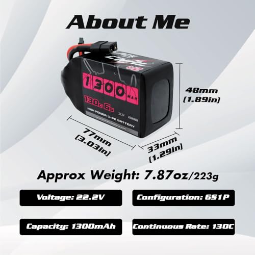 6S 1100mAh 100C 22.2V Lipo Battery with XT60 Plug (2 PCS) C743550