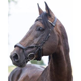 Bridle C40428