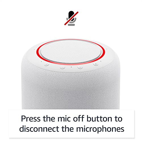 Charcoal Amazon Echo Studio R776133