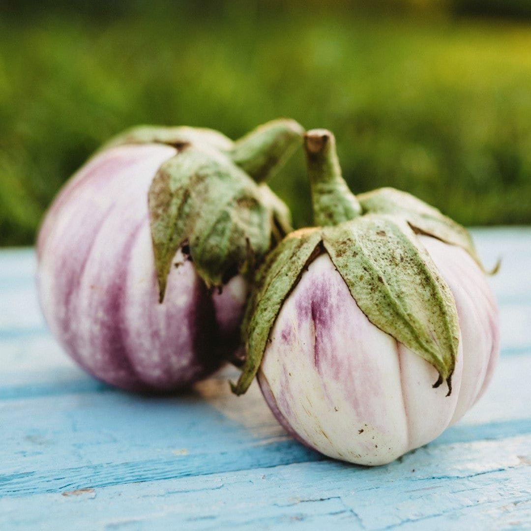 25 Seeds Italian Heirloom Eggplant T36687