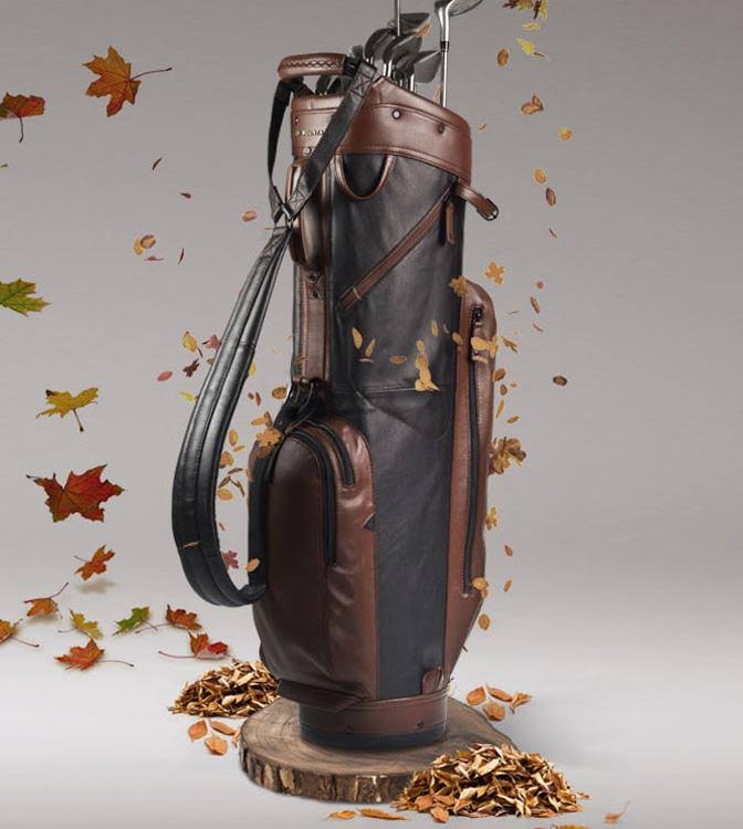 Brown Leather Cart Bag L807