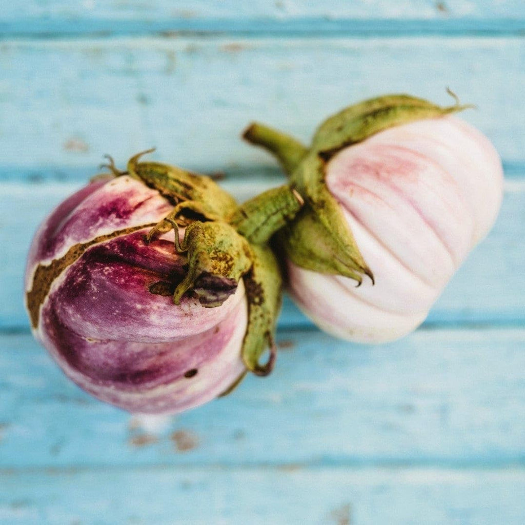 25 Seeds Italian Heirloom Eggplant T36687