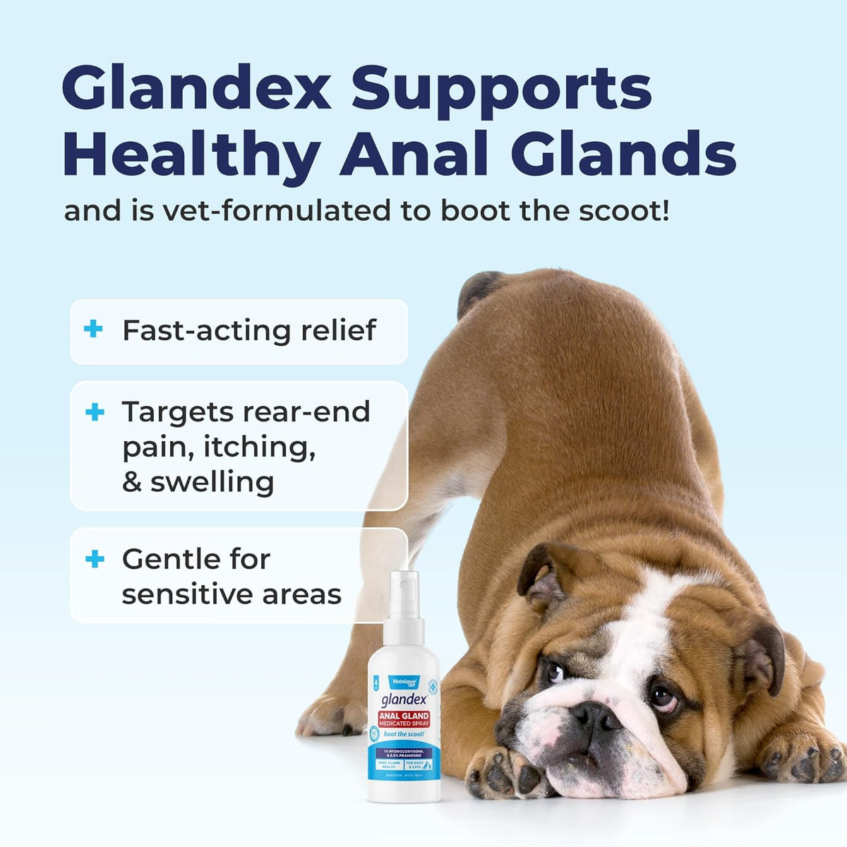 Medicated Dog Anal Gland Spray (4oz) T31965