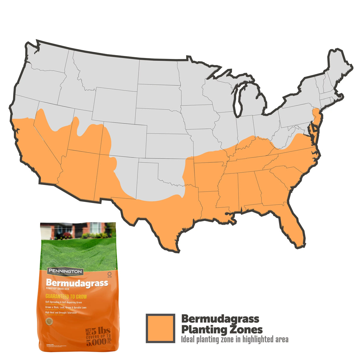 Sahara Bermudagrass Grass Seed, 5 lb. L21086