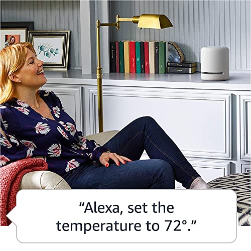 Charcoal Amazon Echo Studio R776133