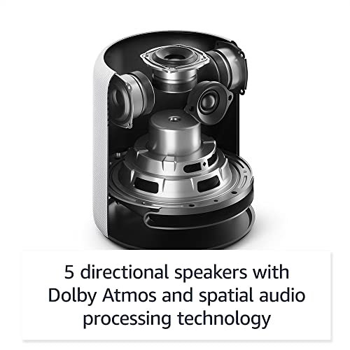 Charcoal Amazon Echo Studio R776133