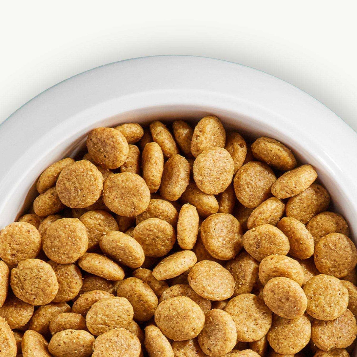 Large Breed Adult Lamb & Rice Dry Dog Food V433