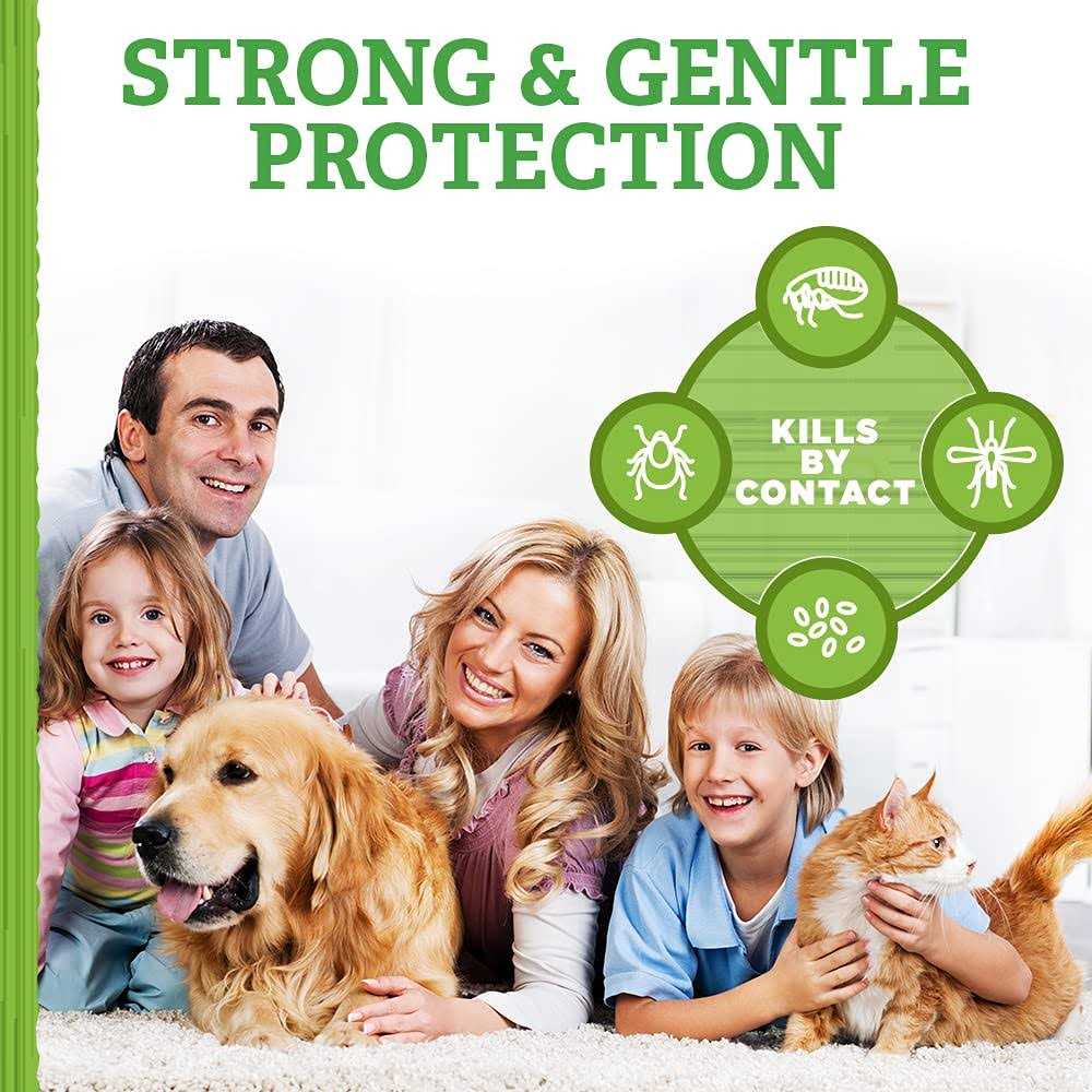 Flea and Tick Carpet Powder H2369
