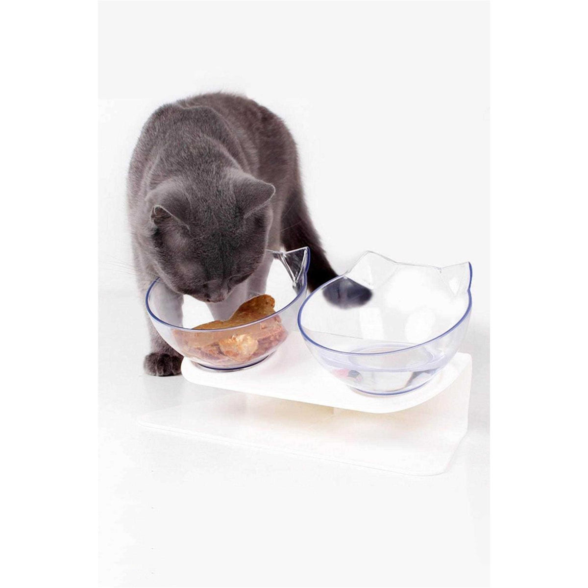Elevated Cat Bowls X132957