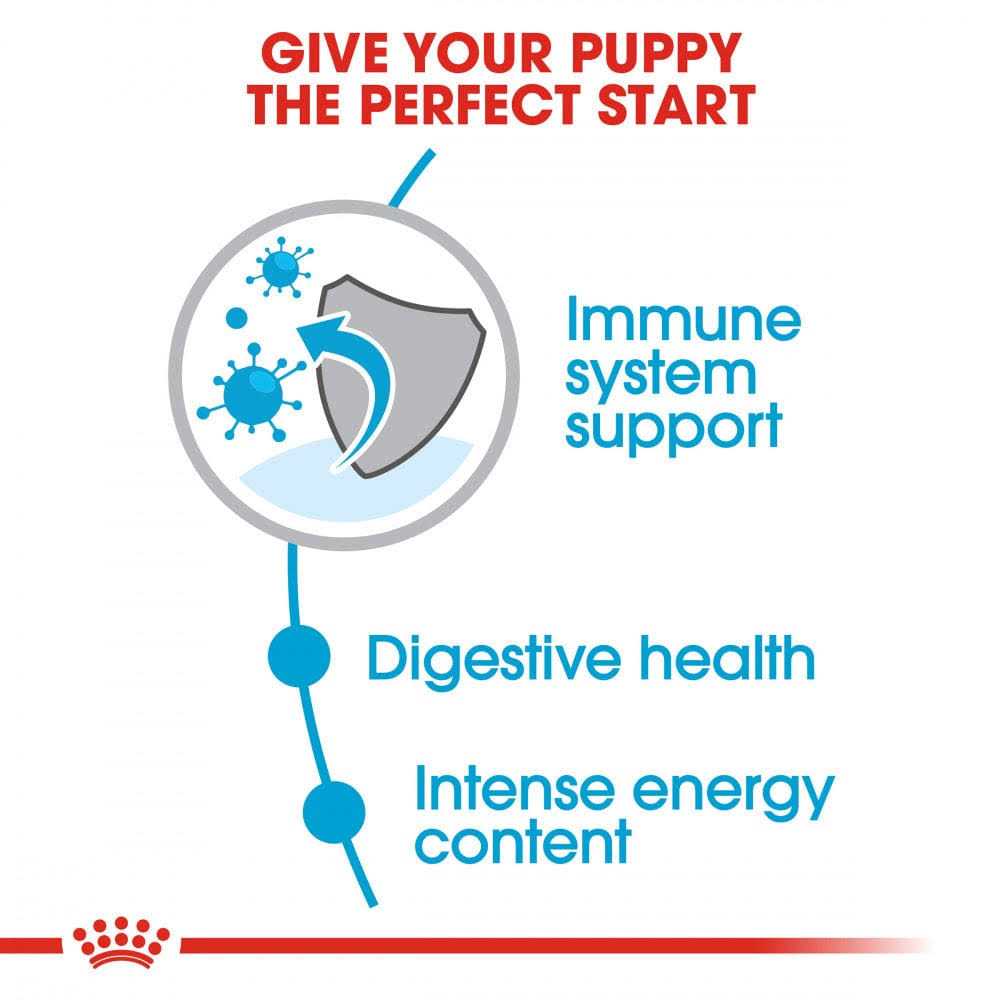 Small Puppy Dry Dog Food T55596