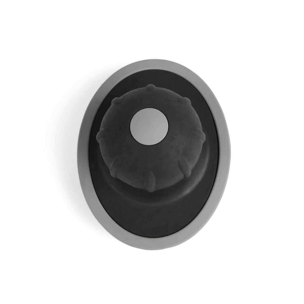 Curry Shampoo Dispensing Brush for Dogs Q23475