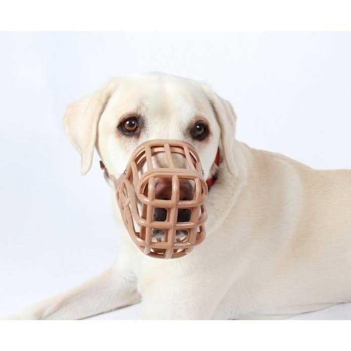 Muzzle H4780