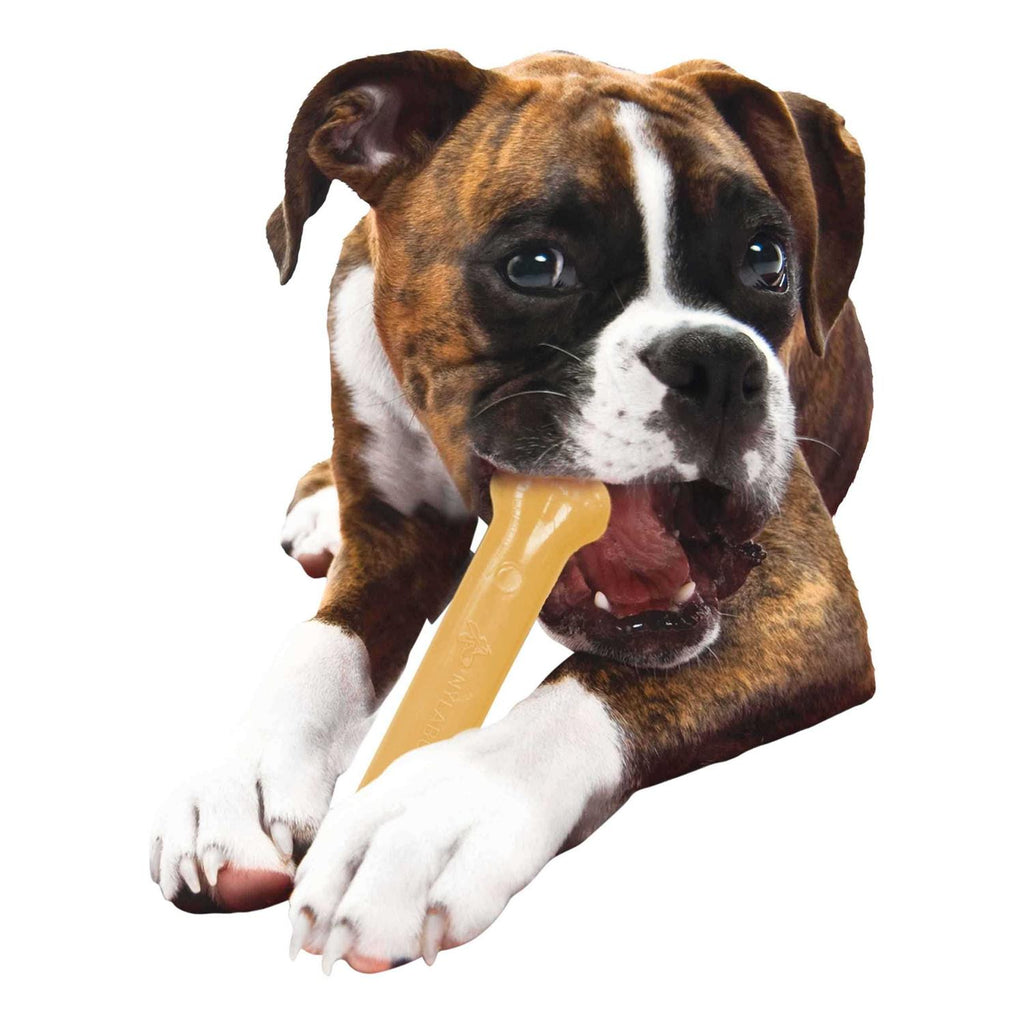 Chew S560782