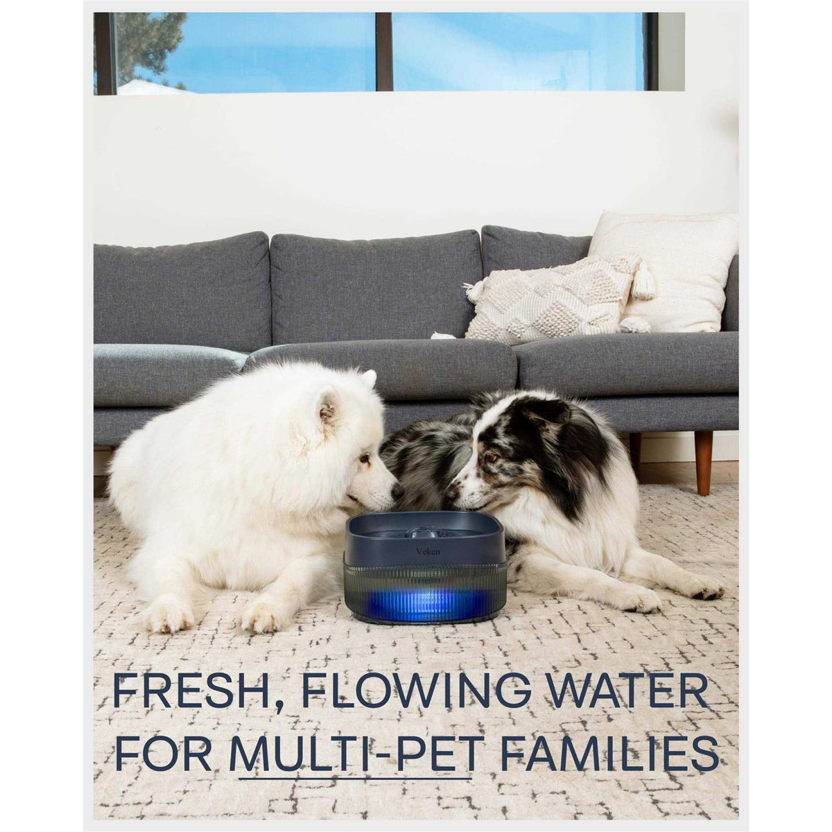 4L Automatic Dog Water Fountain I629323