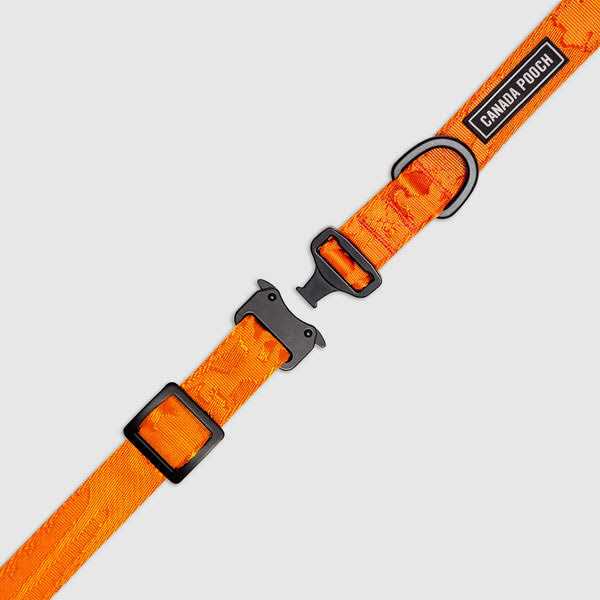 Utility Dog Collar P71094