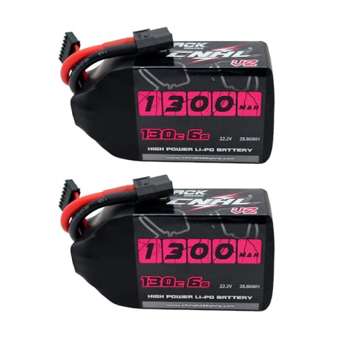 6S 1100mAh 100C 22.2V Lipo Battery with XT60 Plug (2 PCS) C743550