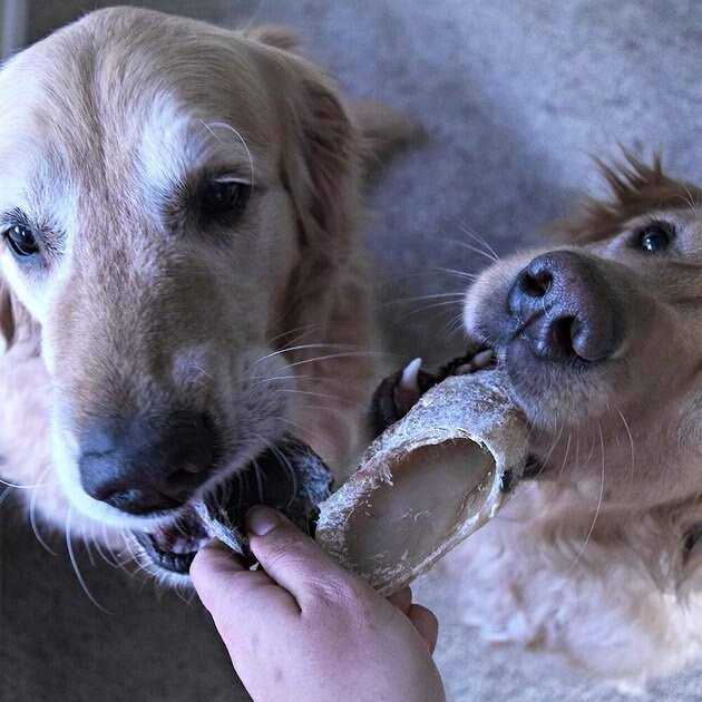 Cow Hooves for Dogs A99120