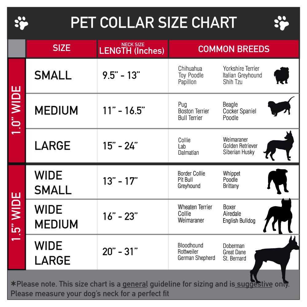 Dog Collar Seatbelt Buckle Y7582