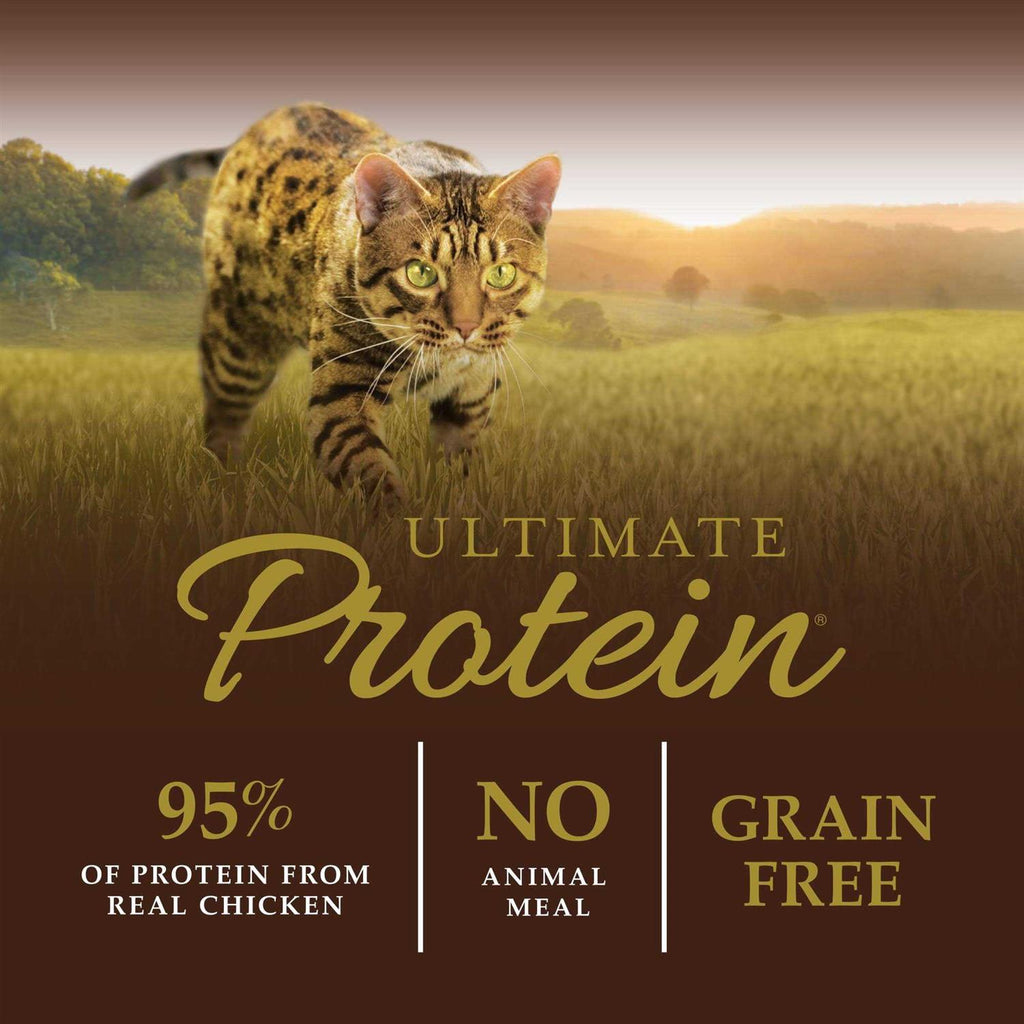 Cat Dry Food I601