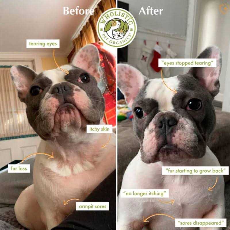 Colostrum Powder S342068