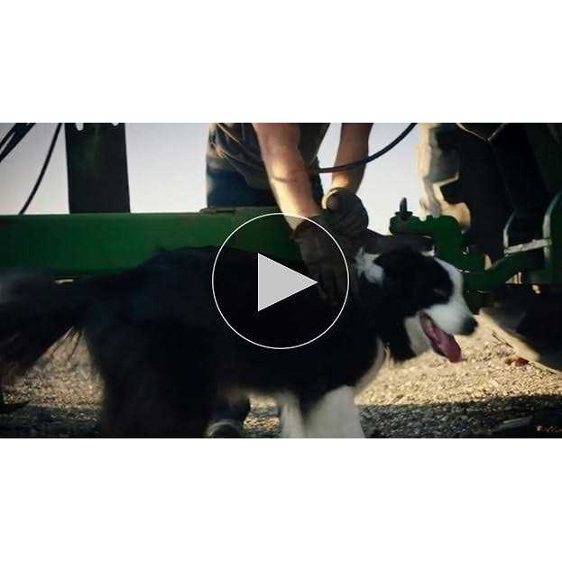 Cat Dry Food I601