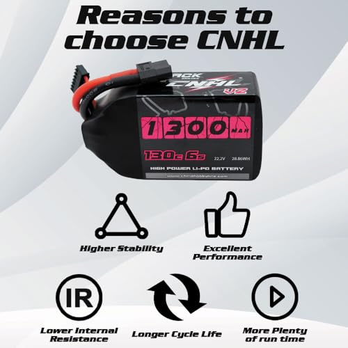 6S 1100mAh 100C 22.2V Lipo Battery with XT60 Plug (2 PCS) C743550