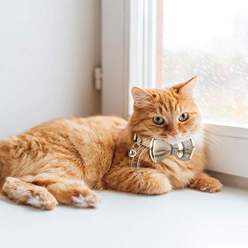 4 Pieces Breakaway Cat Collar Bandana with Plaid Scarf and Bowtie Bell O383