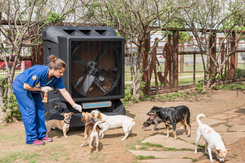 Portable Evaporative Cooler Z3281