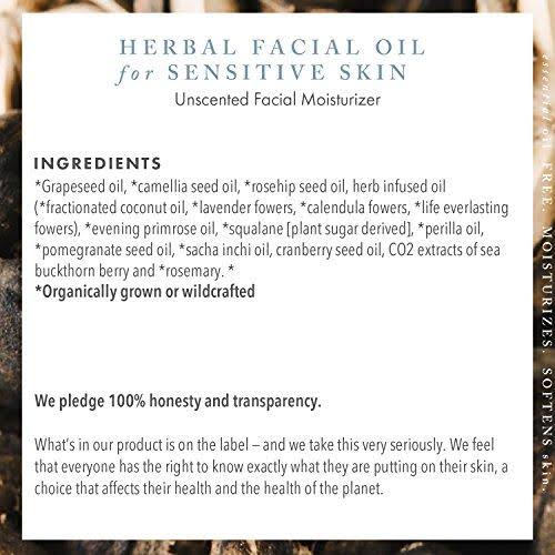 Unscented Herbal Facial Oil 15ml Y208