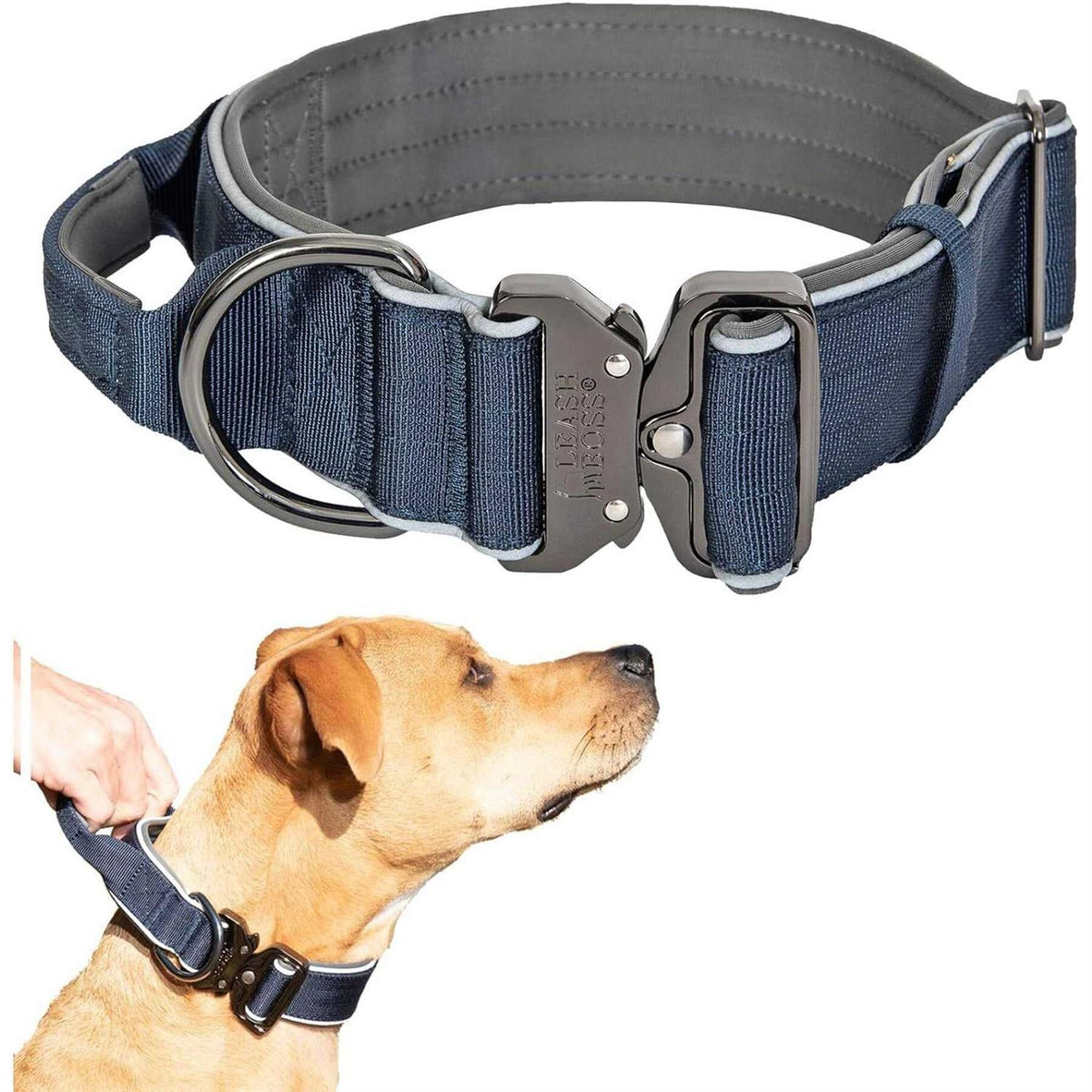 Heavy-Duty Adjustable Dog Collar with Handle P456470