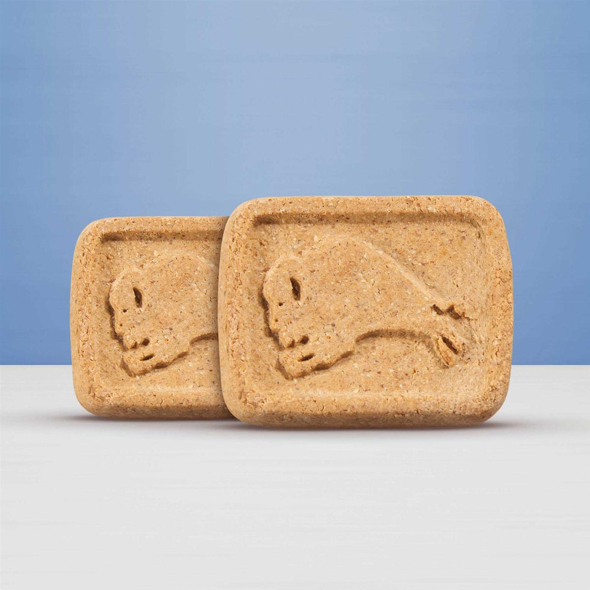 Dog Biscuits P9358