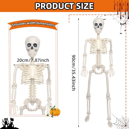 3Ft Life Size Plastic Human Skeleton with Movable Joint Q480