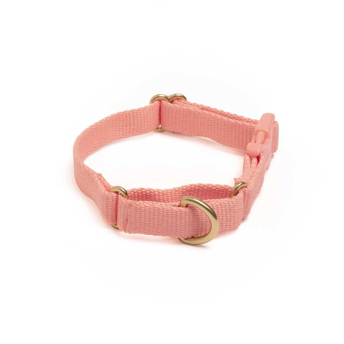 Martingale Dog Collar A720