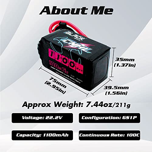 6S 1100mAh 100C 22.2V Lipo Battery with XT60 Plug (2 PCS) C743550