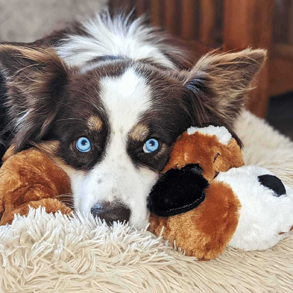 Brown and White Snuggle Puppy K57247
