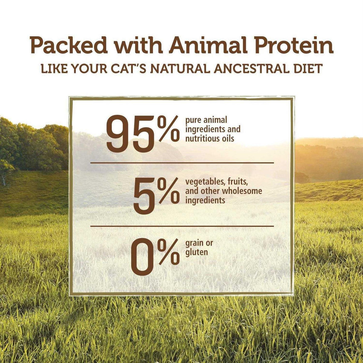 Grain-Free Cat Canned Food I9366