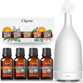 Organic Essential Oils Set 15ML White Ceramic Diffuser X4573