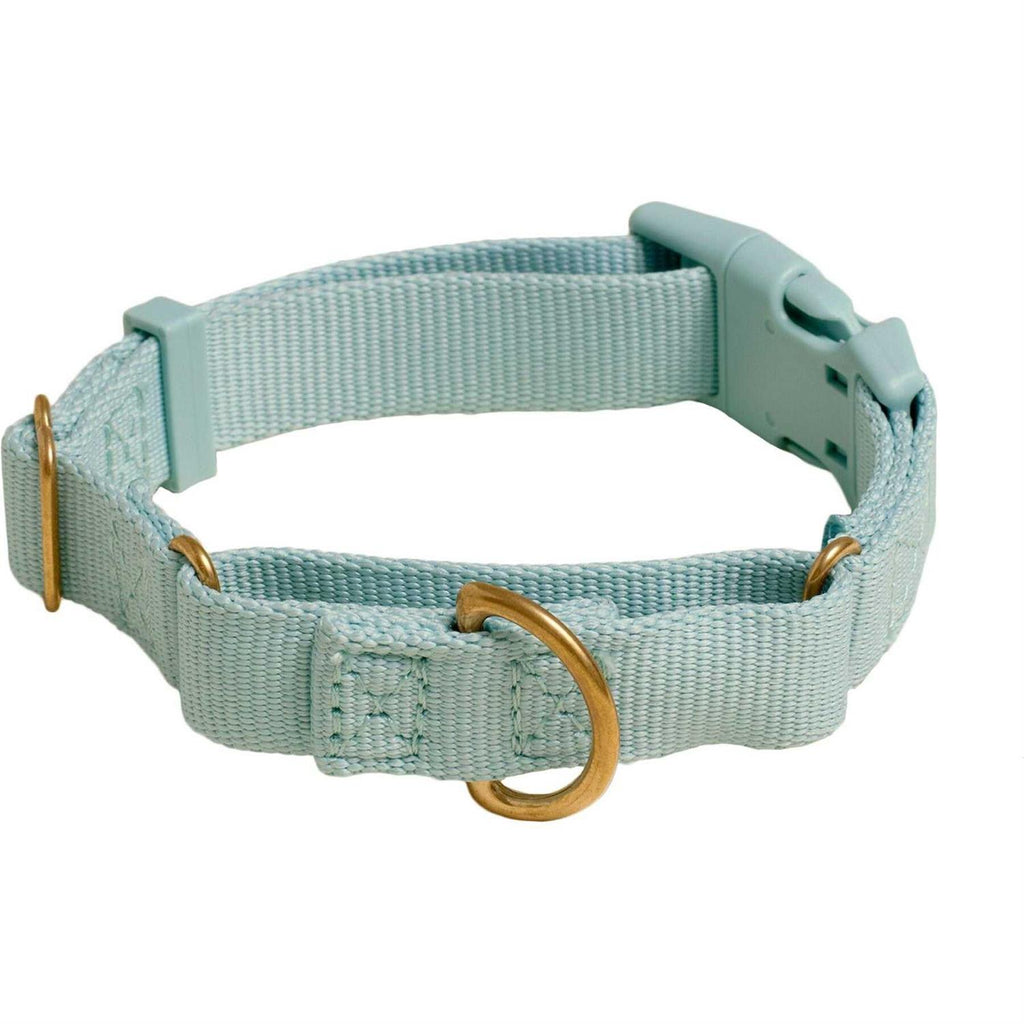 Martingale Dog Collar A720