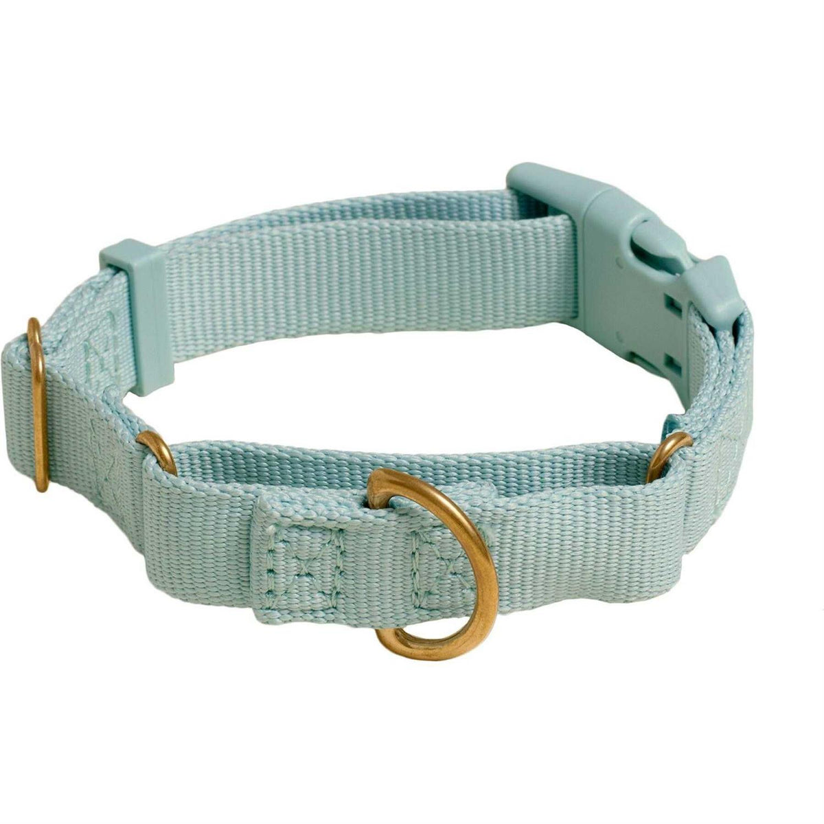 Martingale Dog Collar A720